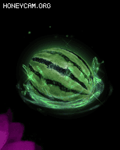 ˮز淨ƻ6466 :lovemei1314 ID:31888 ˮ,ز,,,ƻ