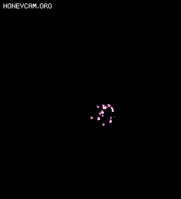 ׼Ч4310 :lovemei1314 ID:31912 ,,Ч