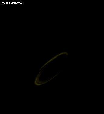 Чһ5045 :lovemei1314 ID:32009 
