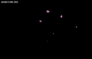 ͨöԻЧ-1960 :lovemei1314 ID:32019 