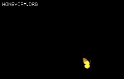 ͨöԻЧ-783 :lovemei1314 ID:32019 