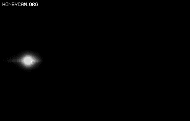 Ч8633 :lovemei1314 ID:32046 