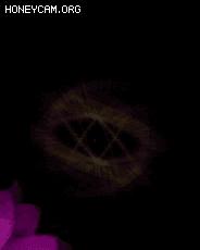 ͨװڹЧ7098 :lovemei1314 ID:32064 