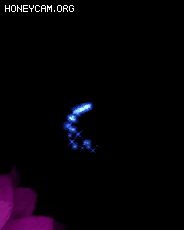 ͨװڹЧ2816 :lovemei1314 ID:32064 