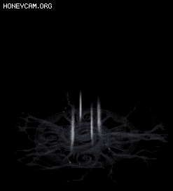 鼼ܾЧ9463 :lovemei1314 ID:32079 