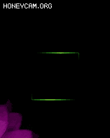 ͨЧװЧ5441 :lovemei1314 ID:32096 