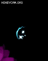 ͨЧװЧ6065 :lovemei1314 ID:32096 