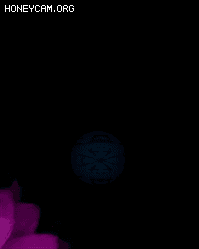 һŵ׹ȦBUFFЧ5595 :lovemei1314 ID:32097 