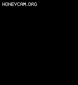 ͨЧFUFF1227 :lovemei1314 ID:32114 ,,ͨ,Ч,