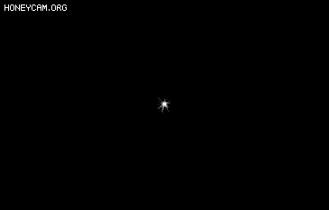 Ч8488 :lovemei1314 ID:32115 