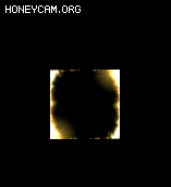 ͨЧװܹȦ7540 :lovemei1314 ID:32132 