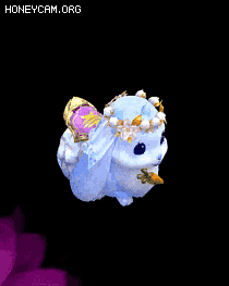 ȵĳﱦ4221 :lovemei1314 ID:32180 ,,,,