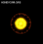 ͨװЧBUFF߿507 :lovemei1314 ID:32209 