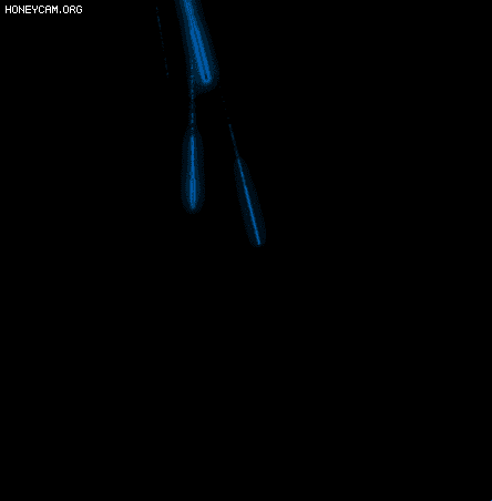 Чز202105016979 :lovemei1314 ID:32217 