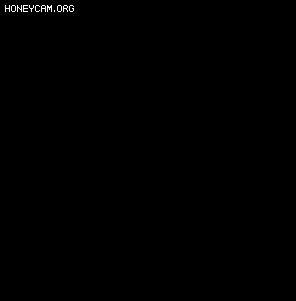 Чز202105014351 :lovemei1314 ID:32217 