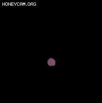 ÿļЧ5622 :lovemei1314 ID:32434 