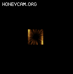 ͨװЧ506 :lovemei1314 ID:32547 ͨ,,װ,Ч