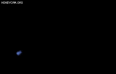 Ч1257 :lovemei1314 ID:32677 