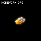 СЧ1571 :lovemei1314 ID:32810 