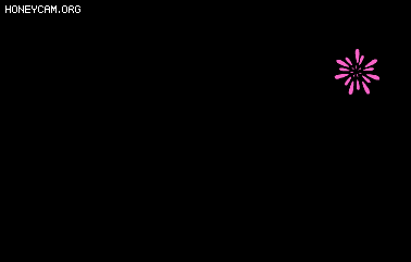 ԻװЧ4165 :lovemei1314 ID:32832 