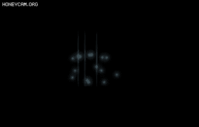 ԻװЧ3335 :lovemei1314 ID:32832 