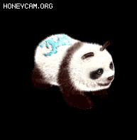 ѡNPC7857 :lovemei1314 ID:32967 