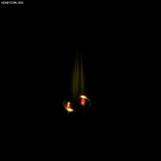 ˵½ЧЧ7895 :lovemei1314 ID:33211 