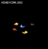 NPCز8853 :lovemei1314 ID:33390 