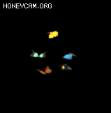 NPCز8346 :lovemei1314 ID:33390 