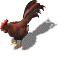 帴Ź-ȫױִ--¹--ɭѩ-ʳ˻-ȫ3875 :2437643 ID:37650 ,,,ȫ,