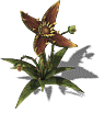 帴Ź-ȫױִ--¹--ɭѩ-ʳ˻-ȫ6599 :2437643 ID:37650 ,,,ȫ,