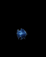 Ƥѷ-θ嶯̬-ڵ--ڹ-ȫ8895 :l445667371 ID:55943 