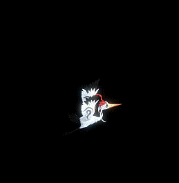 ׹ز  ѻ6196 :ѻ ID:62043 