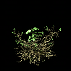ţ˷-ǵ--NPC辰-----PNG9049 :15206680826 ID:62575 