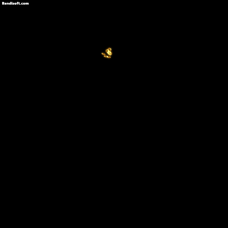 ţ˷-ز-䱦Ǯ콵Ʊ3892 :a149946620 ID:63868 