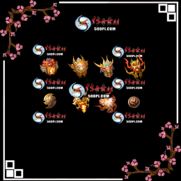 dp2207251-ز