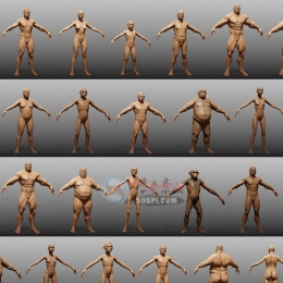 3dmax人体肌肉分布3d高精度角色人物模型素材